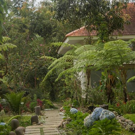 Ara Garden Inn, Accommodation, Yoga Studio & Spa روتينج المظهر الخارجي الصورة