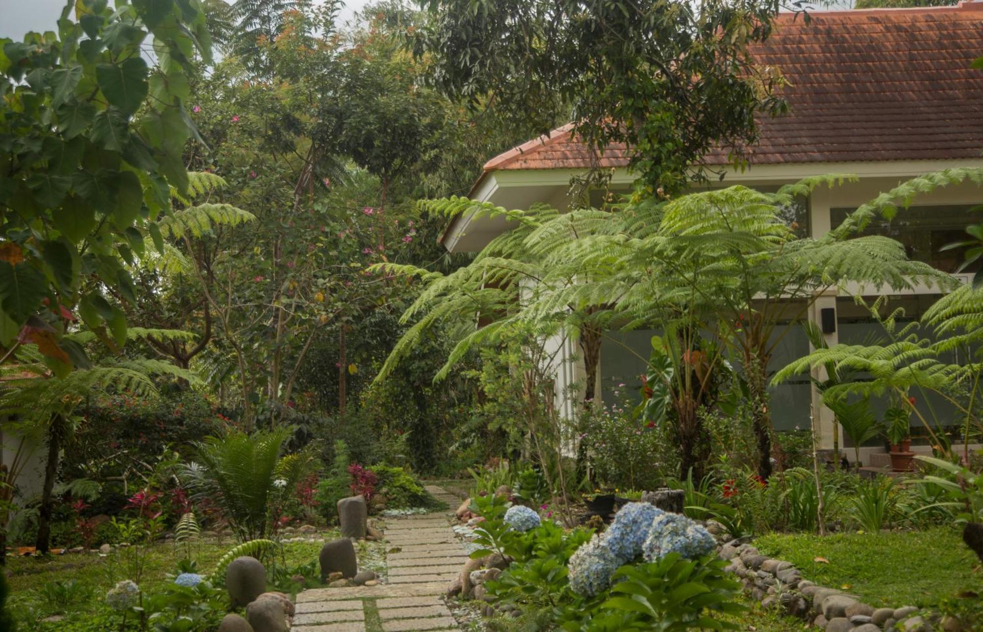 Ara Garden Inn, Accommodation, Yoga Studio & Spa روتينج المظهر الخارجي الصورة